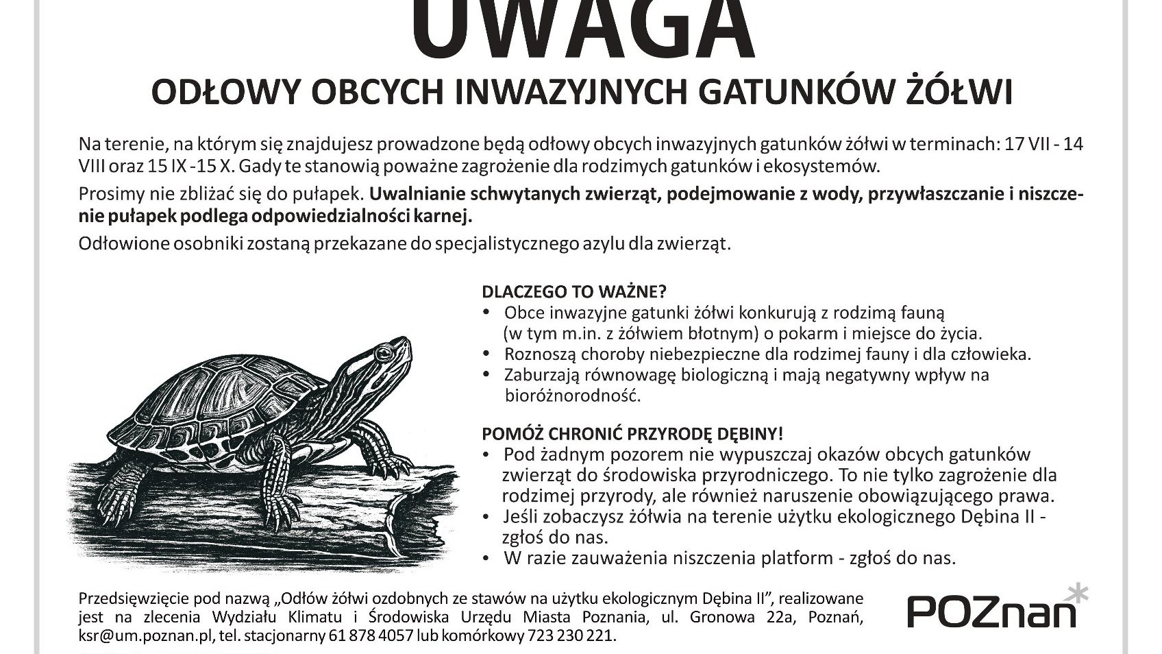 Odłów raków i żółwi