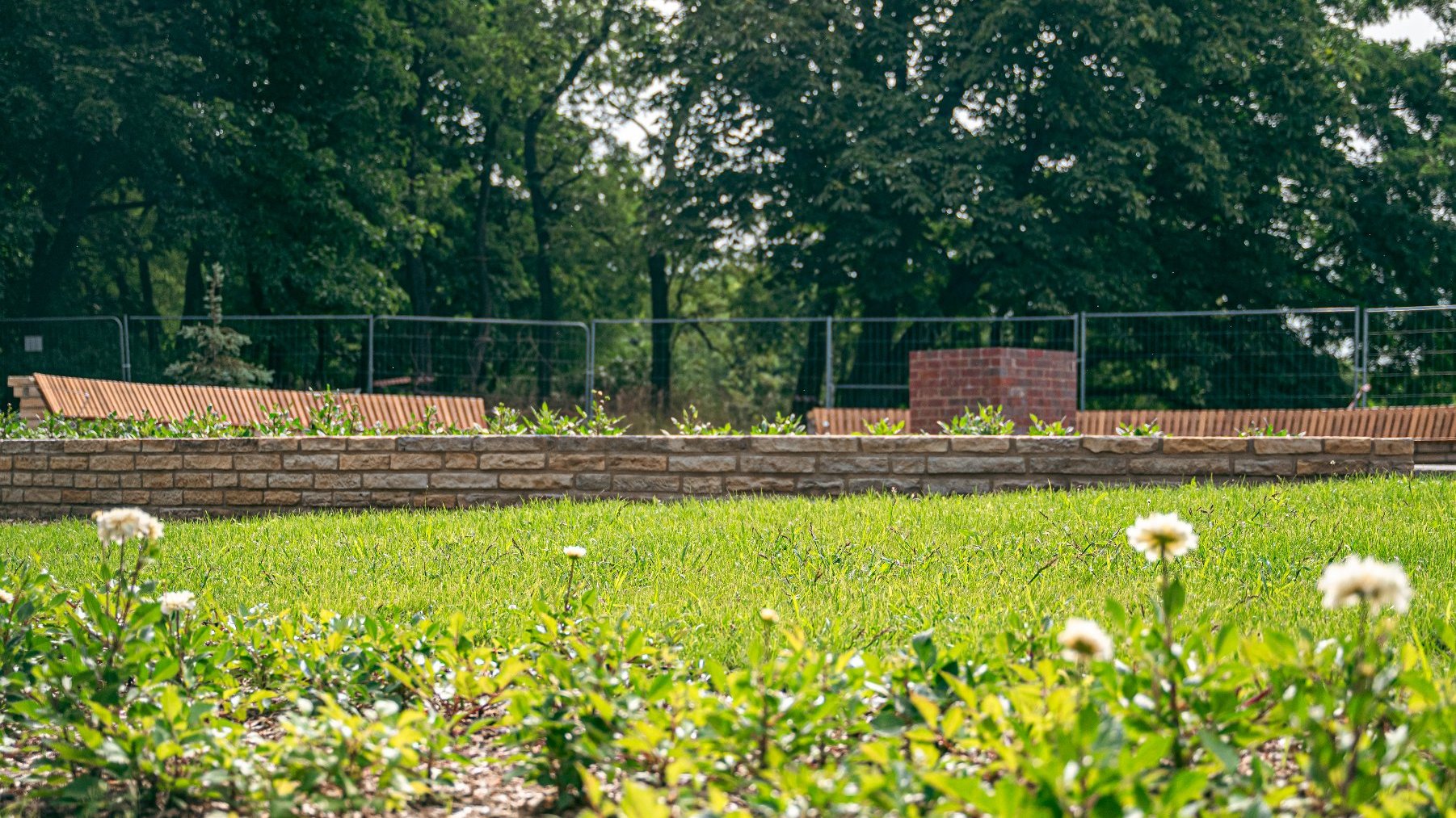 Ogród Daliowy rośnie na Cytadeli
