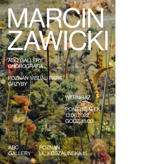 Plakat promujący wystawę.