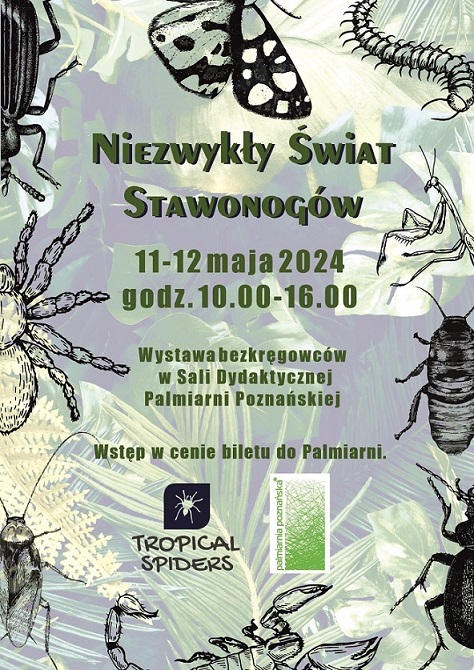 Baner promujący wydarzenie. Nazwa wydarzenia.