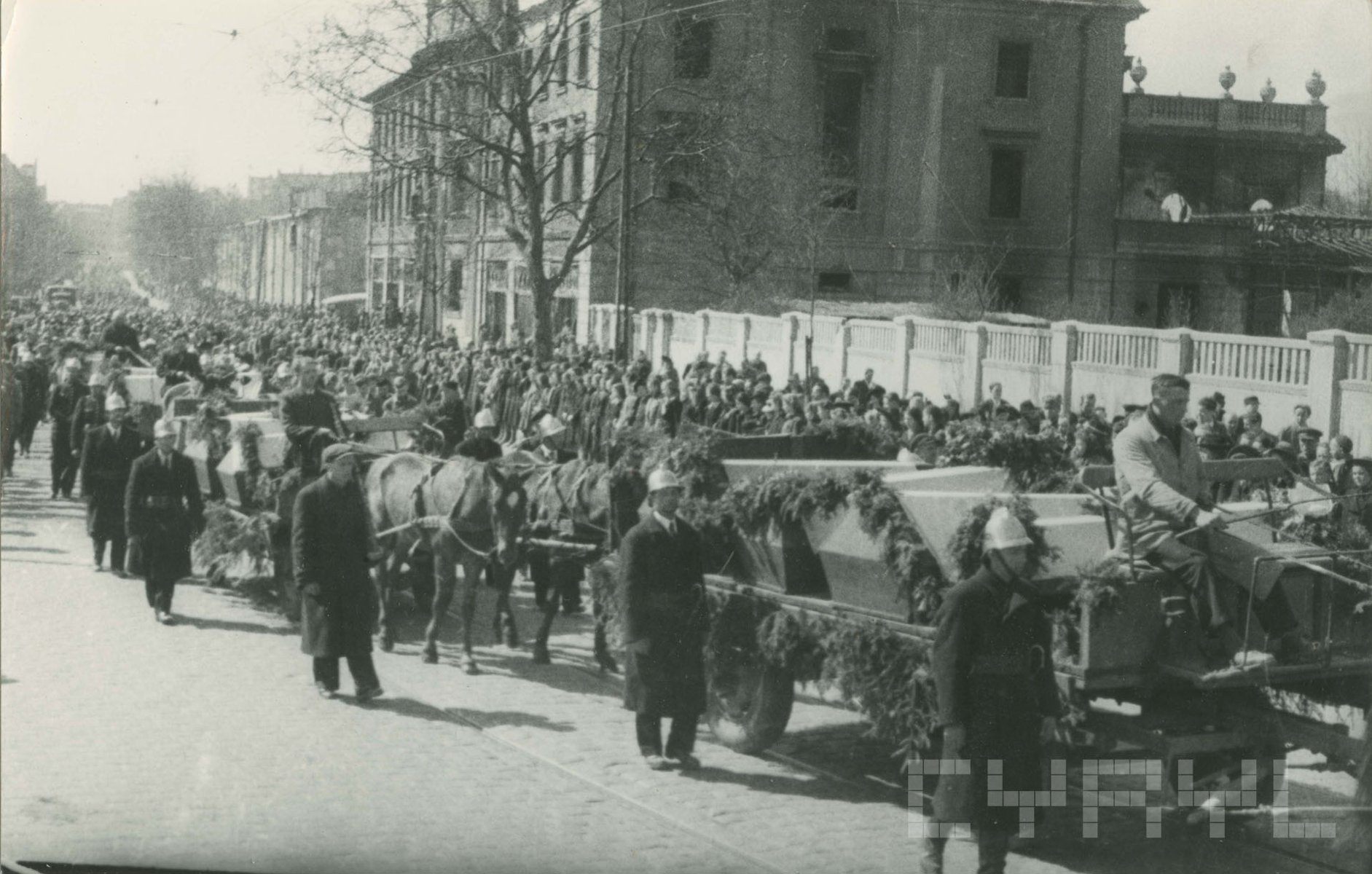 Biało-czarne zdjęcie, wozy z trumnami ciągnięte przez konie