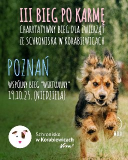 Plakat biegu dla zwierząt. Na plakacie zdjęcie biegnącego psa.