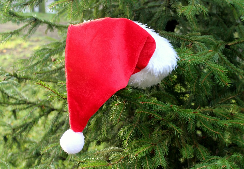 Choinka a na niej czapka świętego Mikołaja.
