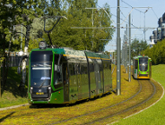 Dwa tramwaje na zielonym torowisku