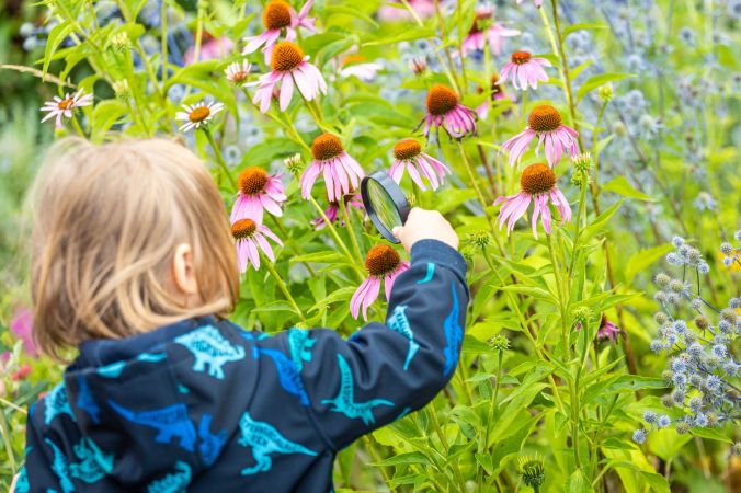 Dziecko z lupą na łące, przygląda się kwiatom.