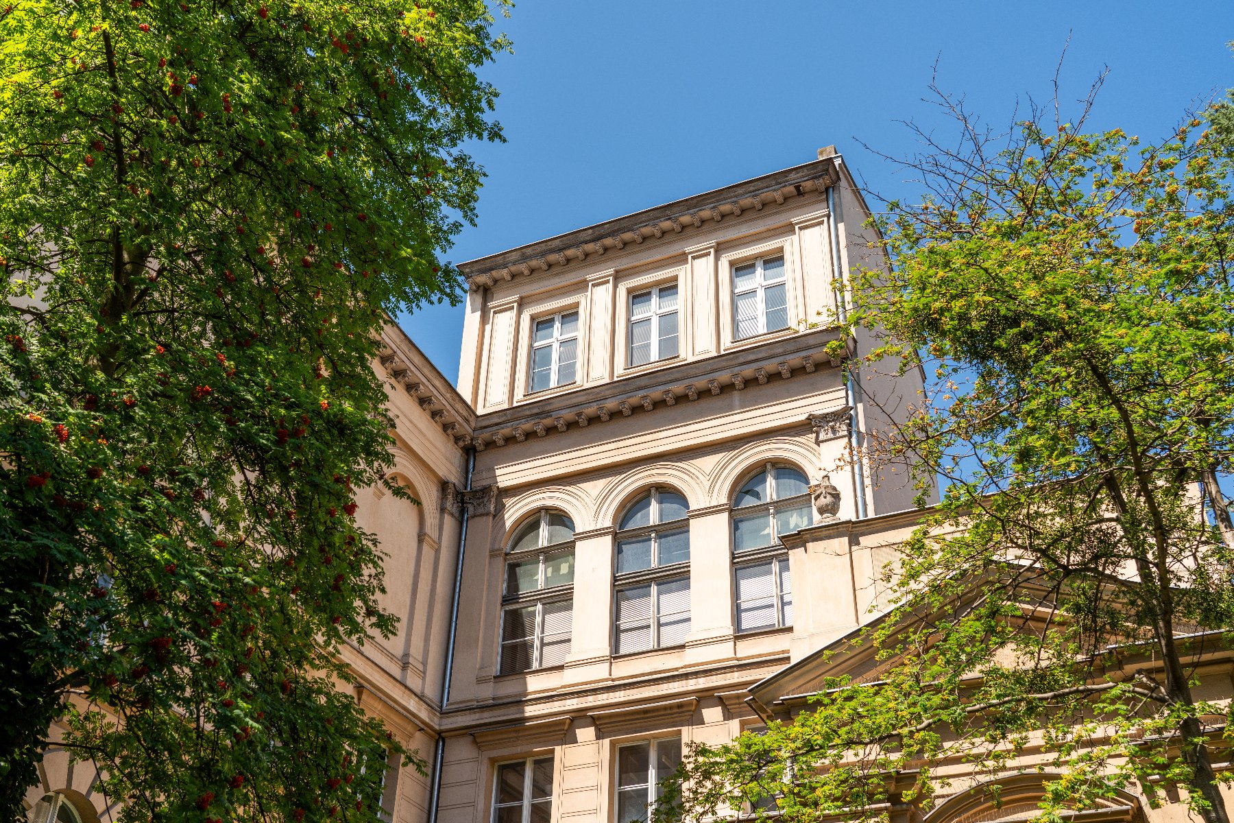 Fasada zabytkowego budynku w Poznaniu, z dużymi, łukowatymi oknami na niższych piętrach i prostokątnymi na wyższych. Budynek jest otoczony zielonymi drzewami, a nad nim rozciąga się bezchmurne, błękitne niebo.