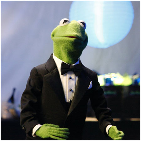 Pacynka żaba w smokingu dyryguje.