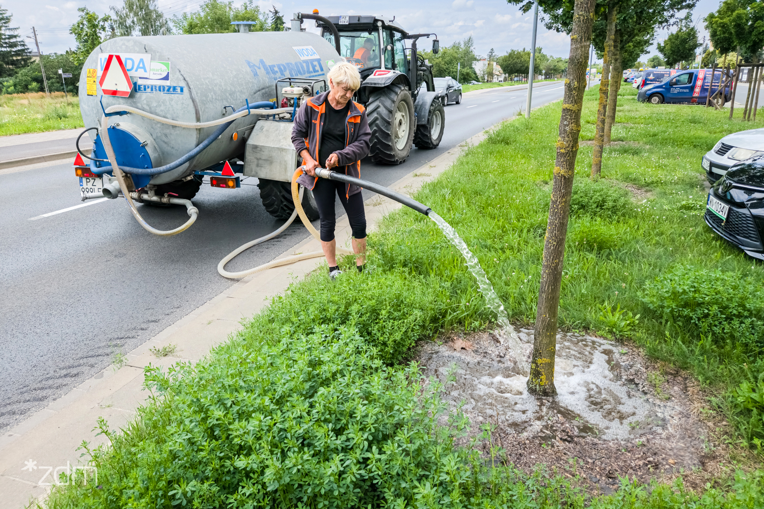 Galeria zdjęć z podlewania zieleni pzyulicznej