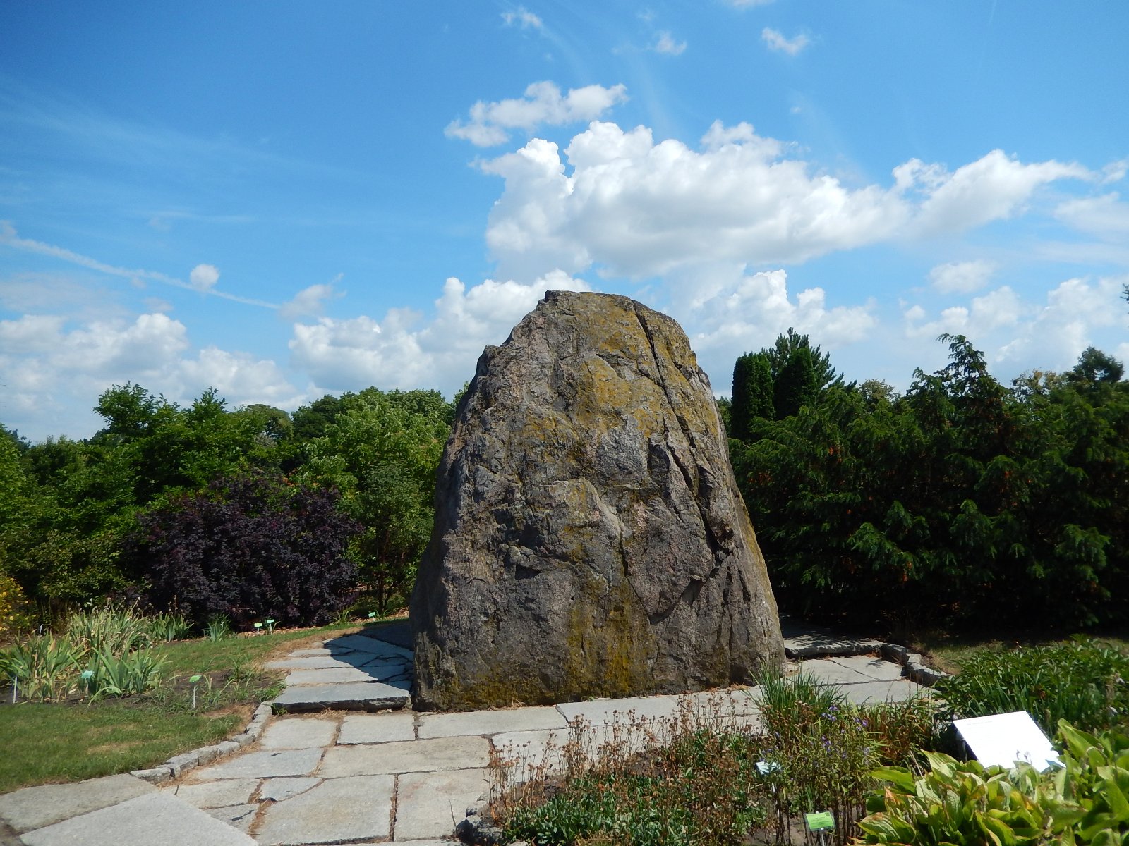 Głaz narzutowy w Ogrodzie Botanicznym UAM, fot. Wikimedia/Drumeros