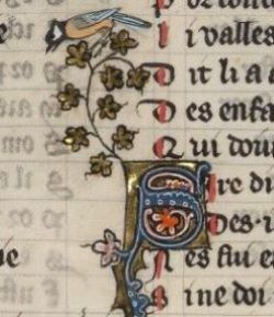 Na grafice plakat wydarzenia.