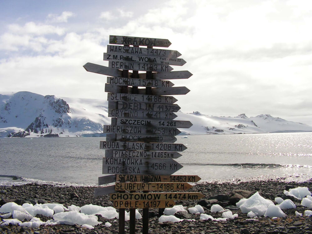 Na grafice plakat wydarzenia.