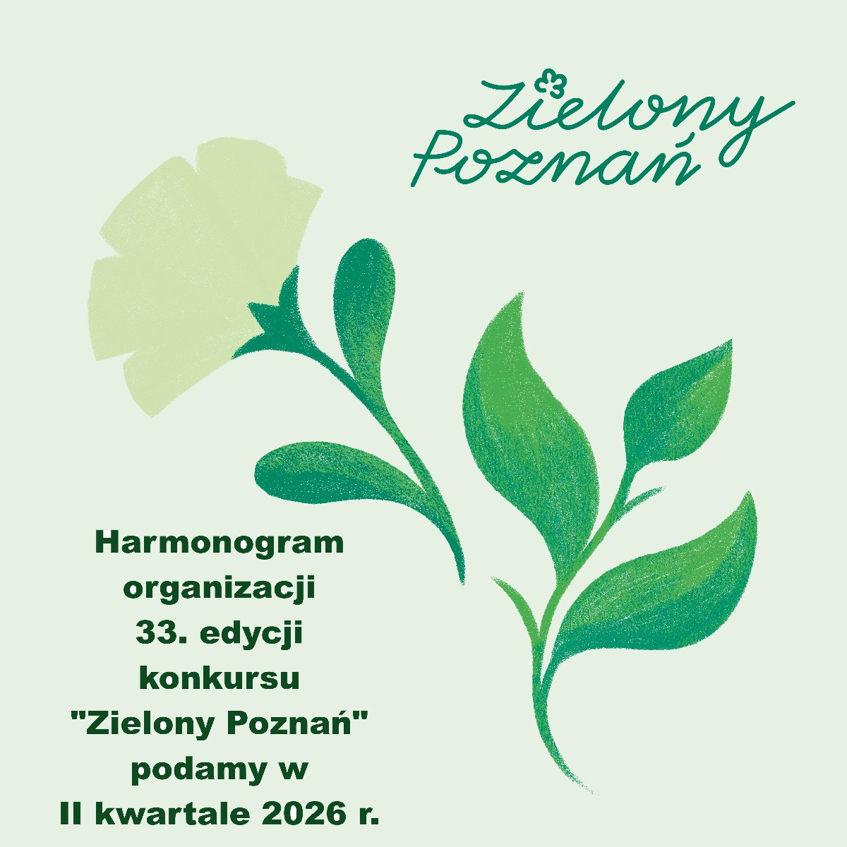 grafika konkursu na zielonym tle kwiat, którego płatki symbolizują działania na rzecz ekologii niezależnie od wieku.