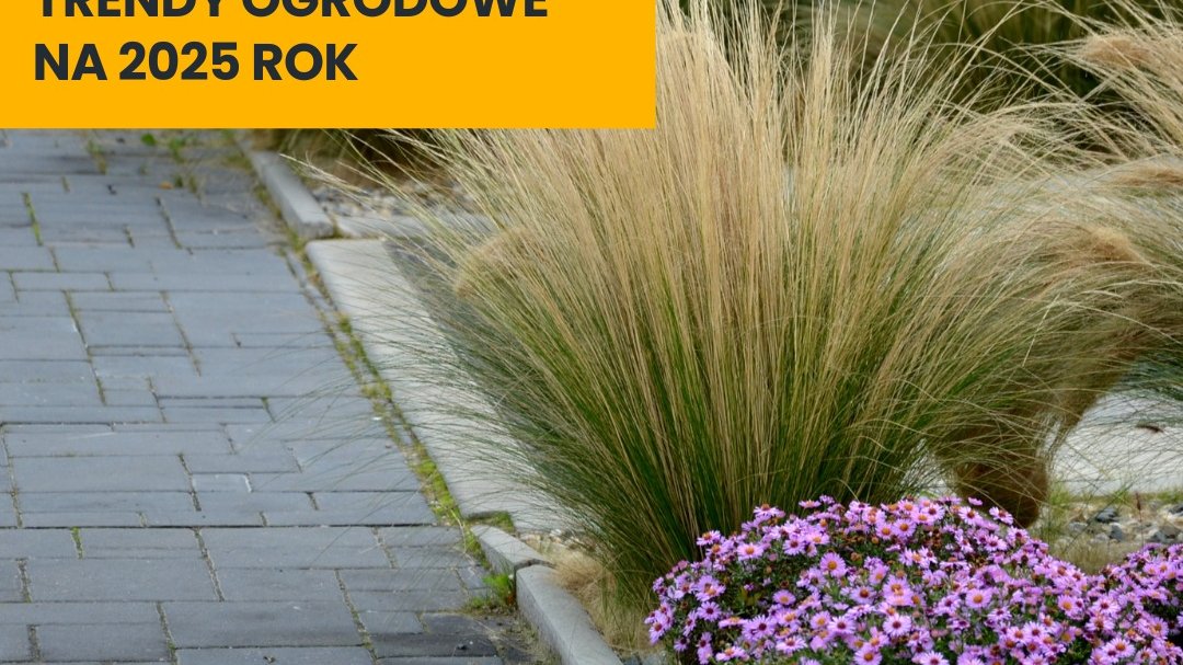ogrodowe trendy -Stiga blog o ogrodowych trendach