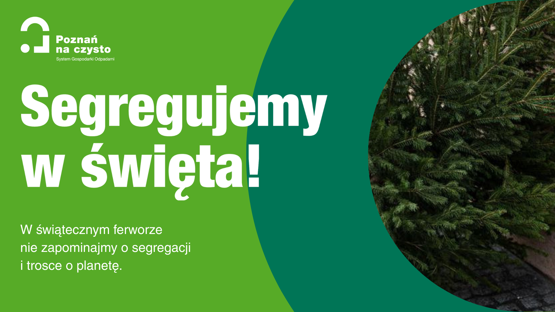 Grafika przedstawia treść "segregujemy w święta" oraz zdjęcie choinki