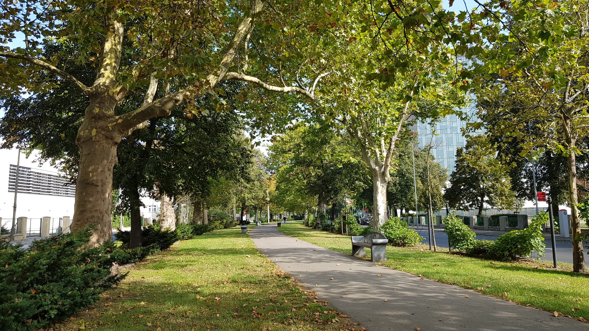 Łączniki zieleni to ważne przestrzenie w mieście