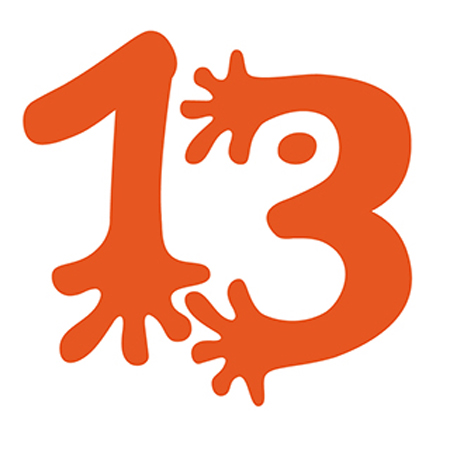 Pomarańczowa 13-stka na białym tle