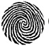 Logo fundacji Orbis Tertius.