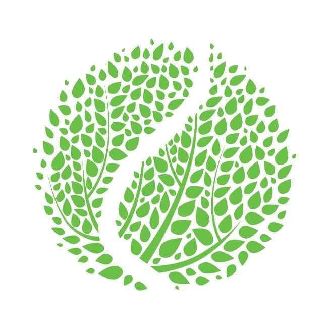 Logotyp Parku Tenisowego Olimpia - zielone listki tworzą kształt piłki tenisowej