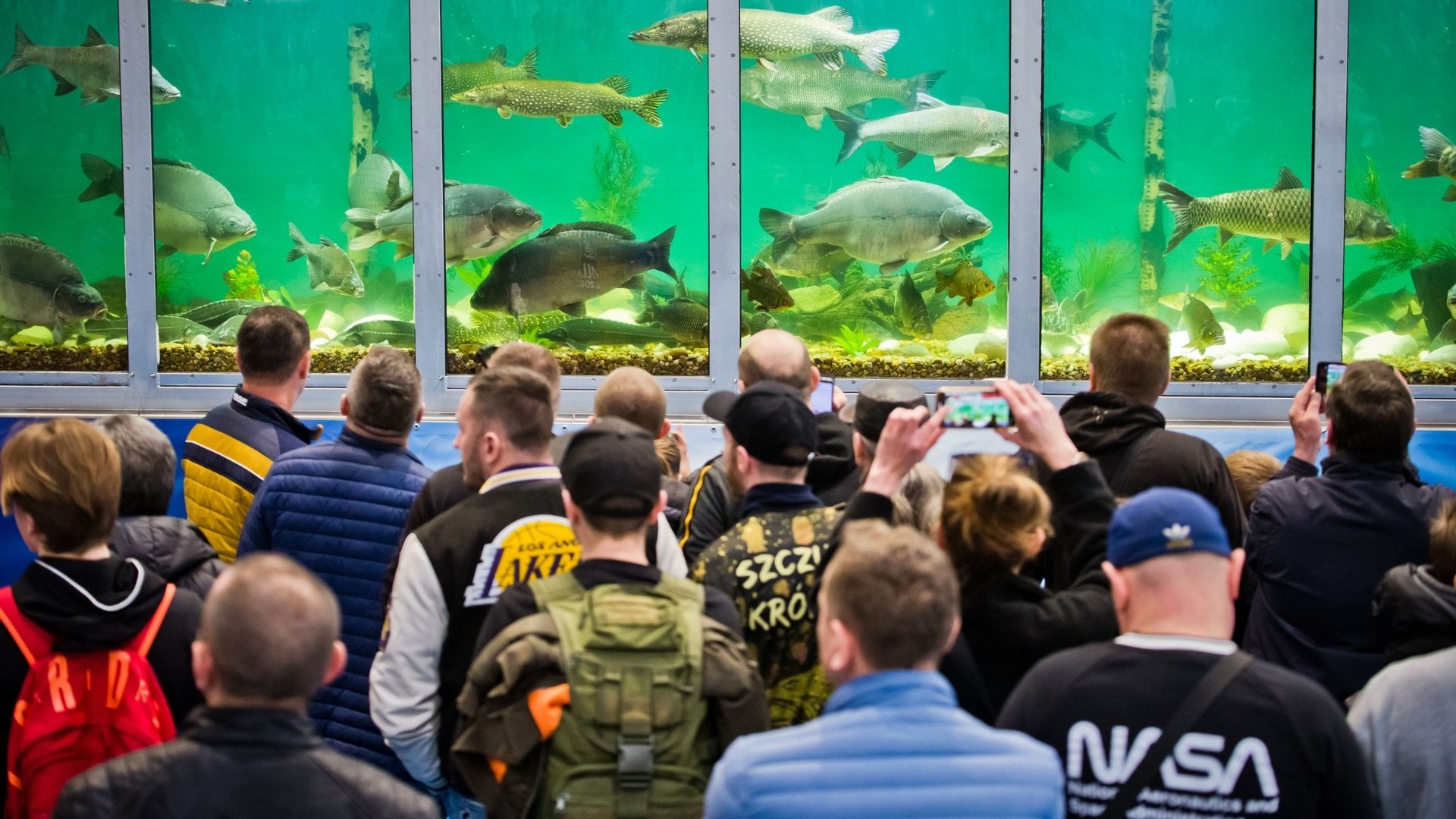 Na zdjęciu mężczyźni robiący zdjęcia rybom