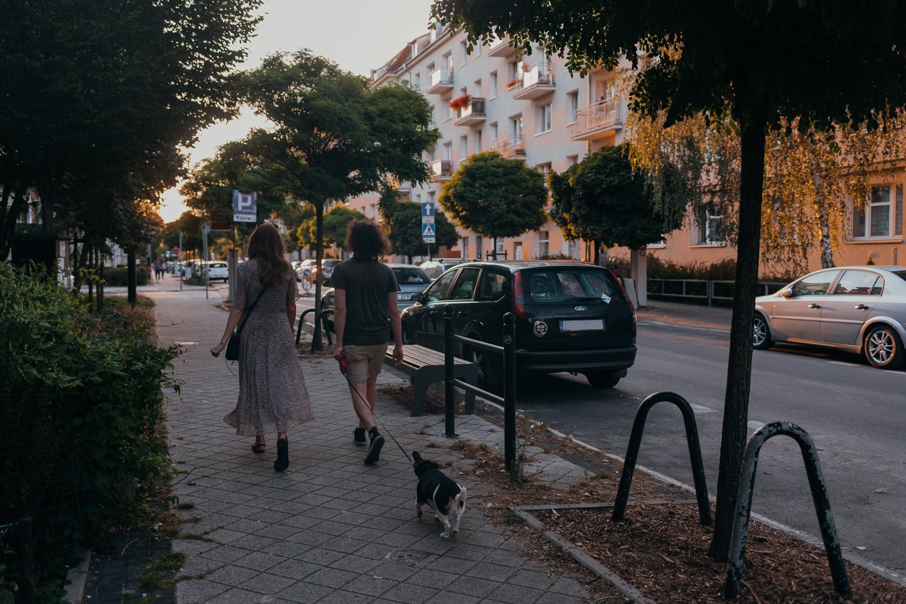 Na zdjęciu młodzi ludzie spacerują z psem ulicą na Jeżycach, widać drzewa i samochody zaparkowane przy ulicy