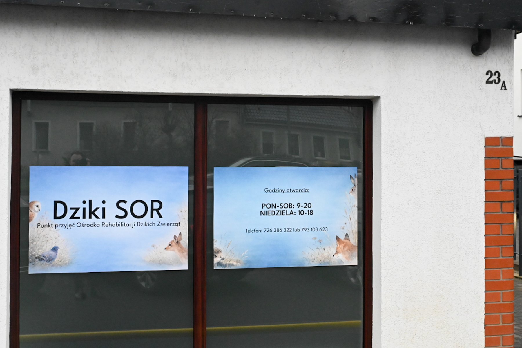 Na zdjęciu okno siedziby Dzikiego SORu przy ul. Jugosłowiańskiej 23A w Poznaniu z plakatami informacyjnymi dot. godzin otwarcia i kontaktu