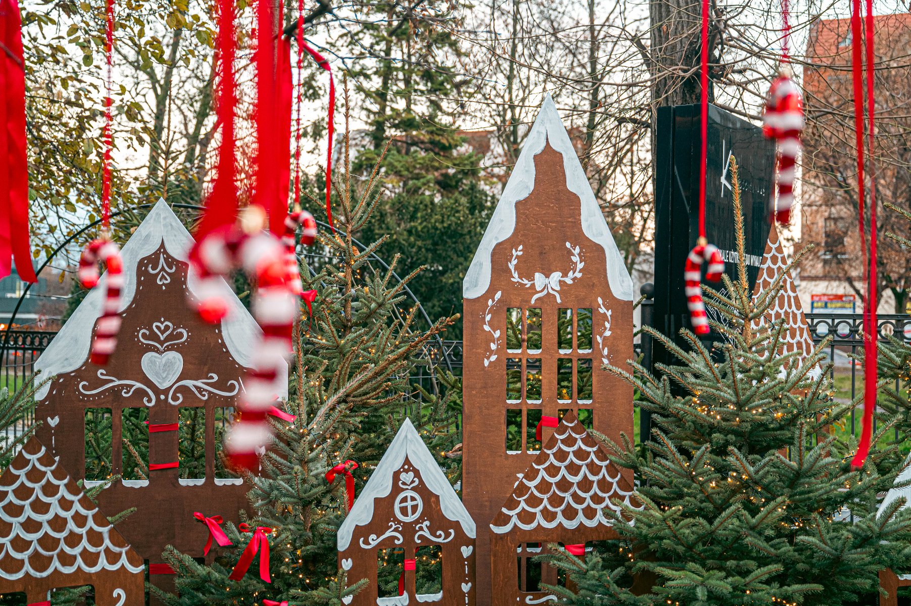 Na zdjeciu świąteczne lizaki wiszące na czerwonych wstążkach, w tle widać choinki rozświetlone lampkami