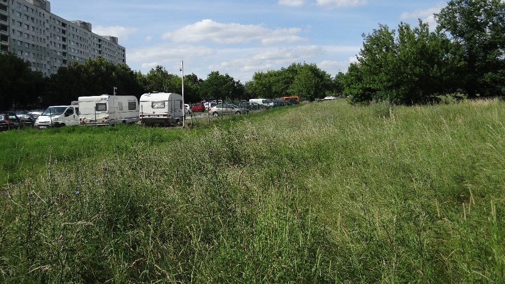 Obszar planowany do renaturyzacji - skanalizowany odcinek Piaśnicy na os. Lecha, fot. K.Mrozik