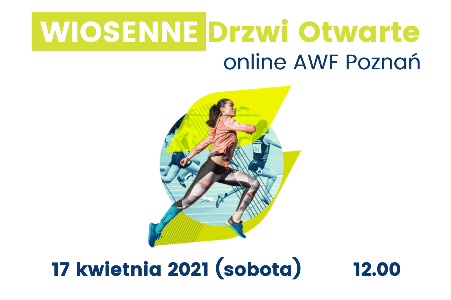 zdjęcie dekoracyjne