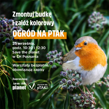 Plakat w trawie. informacje o wydarzeniu.