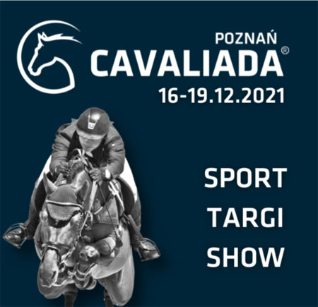 Jeździec na koniu. Tytuł i data wydarzenia.