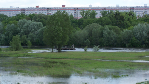 Powódź w Poznaniu - 2010