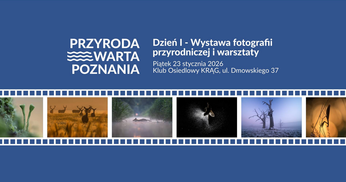 Plakat wydarzenia Przyroda Warta Poznania. Na niebieskim tle białe napisy. U dołu pas przypominający kliszę fotograficzną z miniaturami zdjęć przyrody: porosty, stado jeleni, zwierzę w wodzie, owad w locie, samotne drzewa we mgle oraz gałęzie na tle światła.