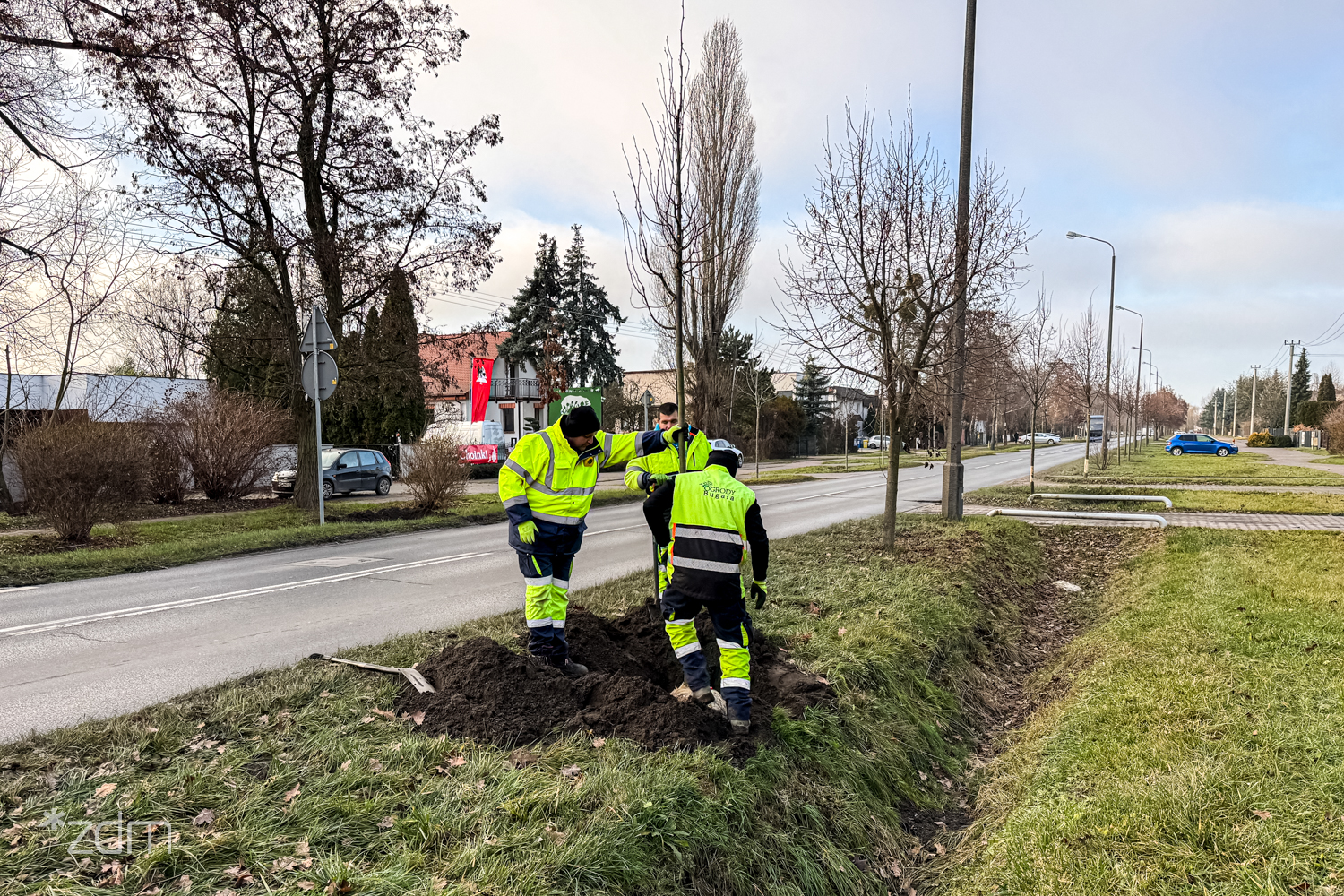 Sadzenie nowych drzew na Szczepankowie