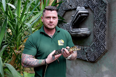 Mężczyzna w zielonej koszulce z jaszczurką w rękach. W tle rośliny tropikalne i ściana z symbolem węża