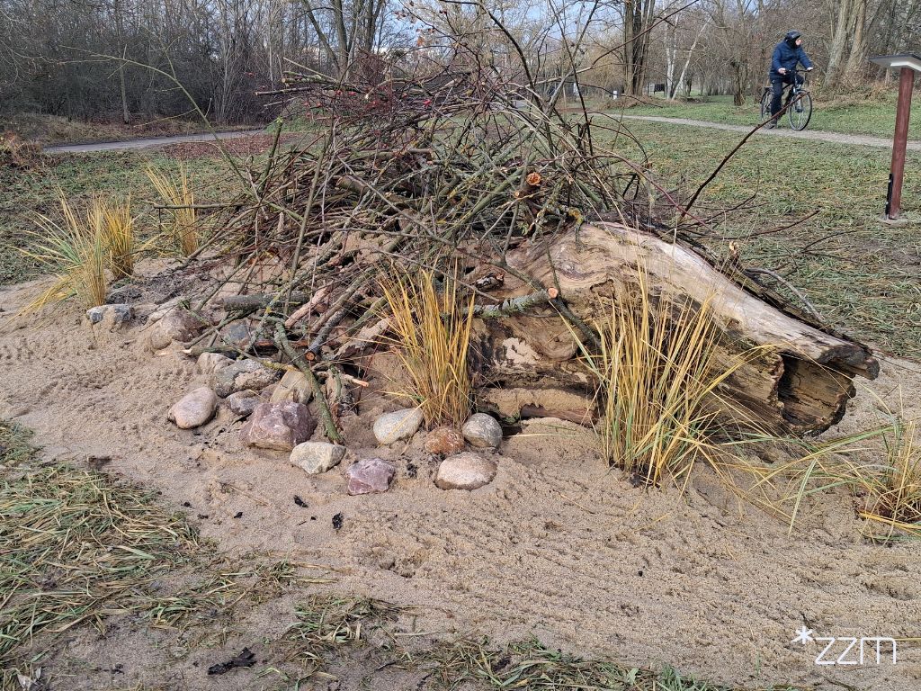 Stanowiska dla jaszczurek w Parku Edukacji Ekologicznej na Strzeszynie