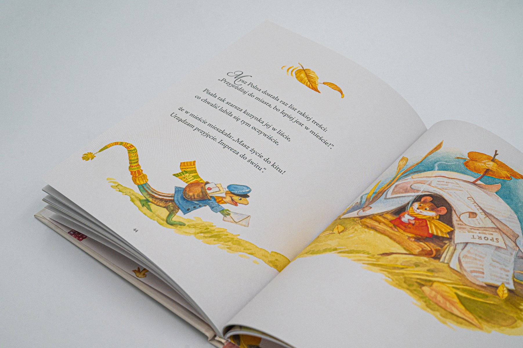 Strony z książki dla dzieci z ilustracjami.