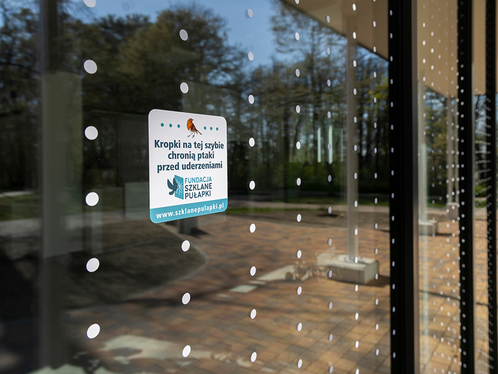 szyba oklejona przezrozycztą folią z kropkami na nie naklejka z wizerunkiem ptaka i napis Kropki na tej szybie chronią ptaki przed uderzeniami FUNDACJA SZKLANE PUŁAPKI