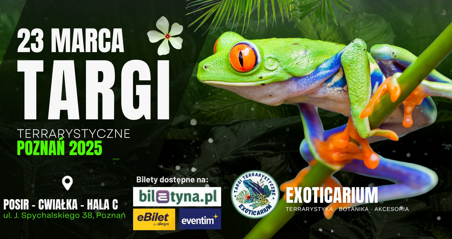 Plakat o targach terrarystycznych, jaskrawokolorowo żaba trzyma się zielonj gałązki, obok napisy informujące o wydarzeniu.