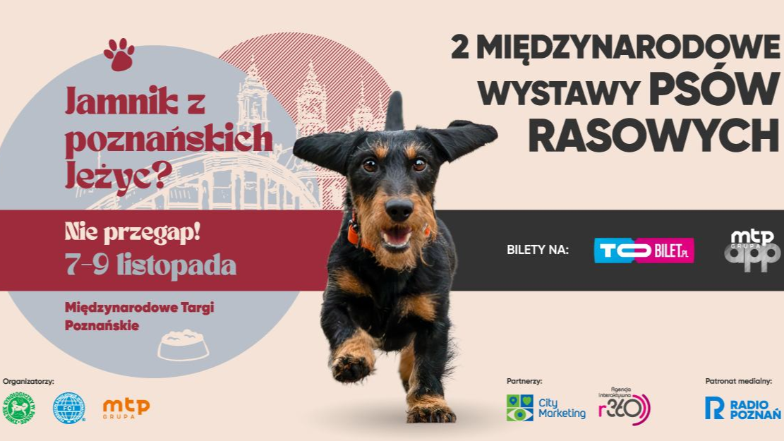 W centralnej części grafiki znajduje się biegnący jamnik. Po lewej stronie napis: "Jamnik z poznańskich Jeżyc? Nie przegap!". Po prawej stronie widnieje tytuł wydarzenia oraz informacja o biletach. Na dole umieszczono logotypy organizatorów i partnerów: ZKwP, FCI, Grupa MTP, City Marketing, Agencja Reklamowa RO oraz Radio Poznań jako patron medialny. Tło utrzymane w beżowo-czerwonej kolorystyce z zarysem poznańskiej architektury.