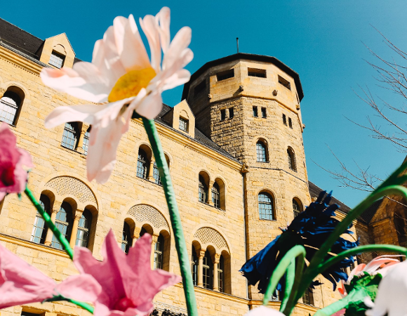 Widok na żółtą, kamienną fasadę zamku z wieżą na tle bezchmurnego nieba. Na pierwszym planie znajdują się duże, sztuczne kwiaty w kolorach białym, różowym i niebieskim, które przesłaniają część budynku.