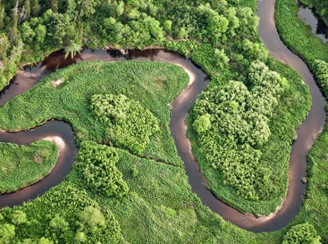 Widok z "lotu ptaka" powietrza na zielony las oraz krętą rzekę i małe jeziorko.