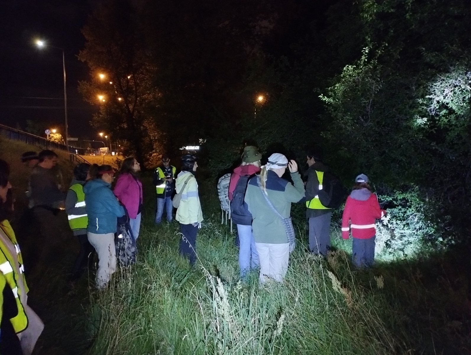 Wieczorna wędrówka przyrodnicza przyciągnęła wielu pasjonatów miejskiej przyrody