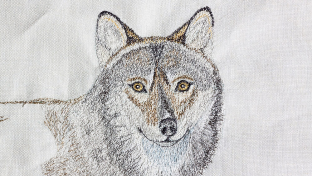 Wilk - rysunek na tkaninie