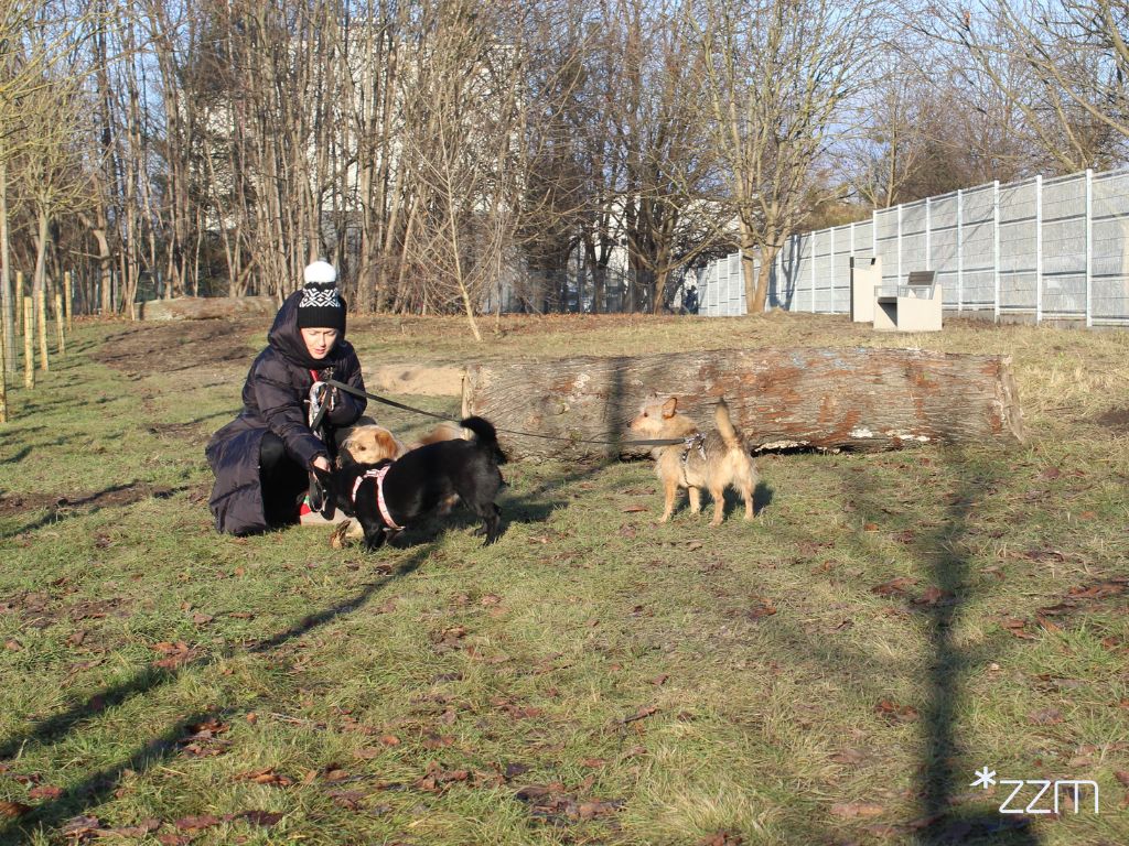 wybieg dla psów przy ul. Dukielskiej