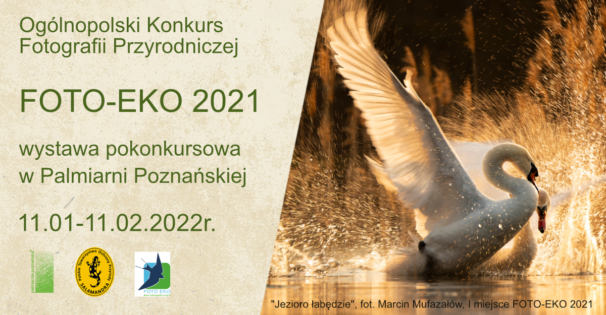 Obrazek przedstawia plakat promujący wystawę pokonkursową Foto-Eko 2021.