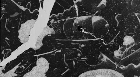 Wystawa Igora Omuleckiego - Kosmos