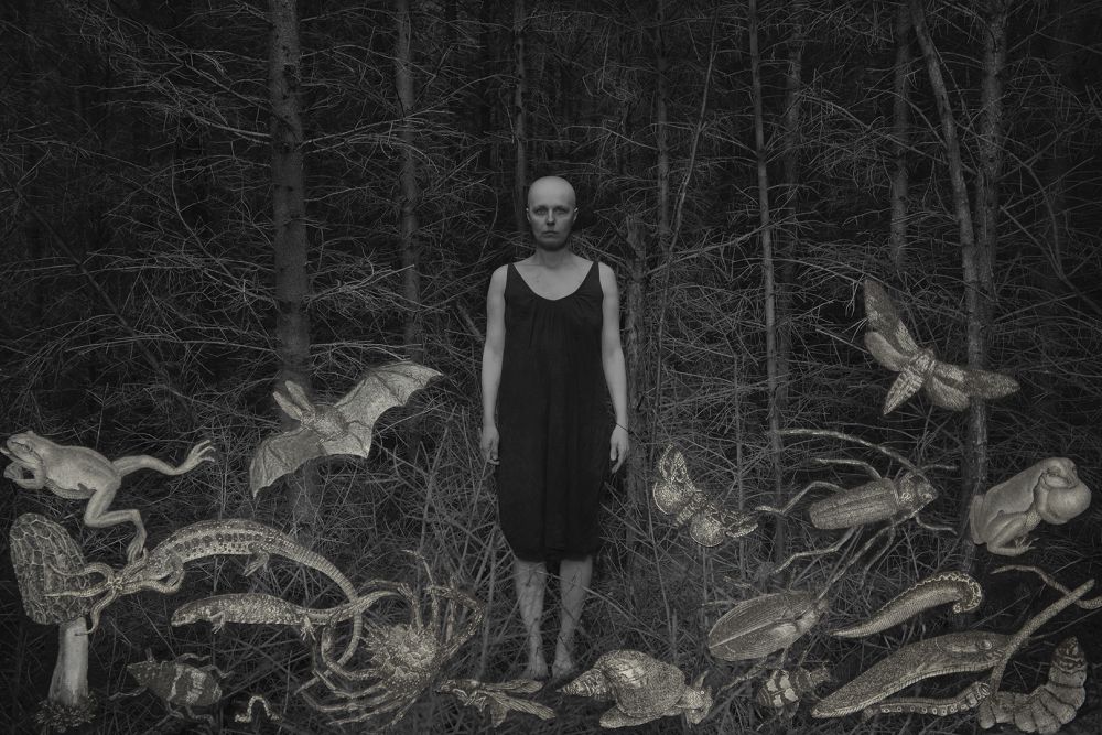 Zagracone pomieszczenie, w którym siedzi kobita w futrze i mała dziewczynka. Z boku stoi także figura białego nieździedzia polarnego. Za dziewczynką domek dla lalek, na podłodze sporo przedmiotów.