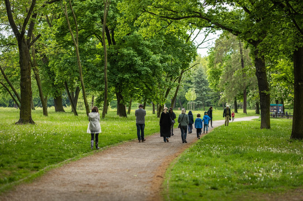 Ludzi w słuchawkach spacerujący po parku Cytadela.