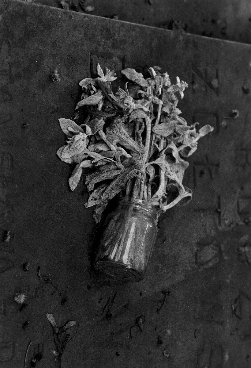 Na zdjęciu jedna z prac na wystawie.