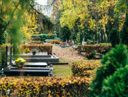 Zdjęcie cmentarza jesienią